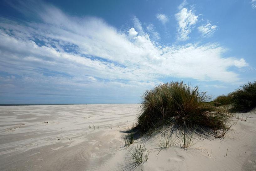 Hotel Brasserie Brakzand Schiermonnikoog Εξωτερικό φωτογραφία
